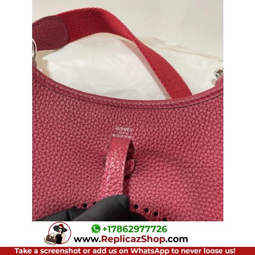 Hermes Evelyne - Image 8