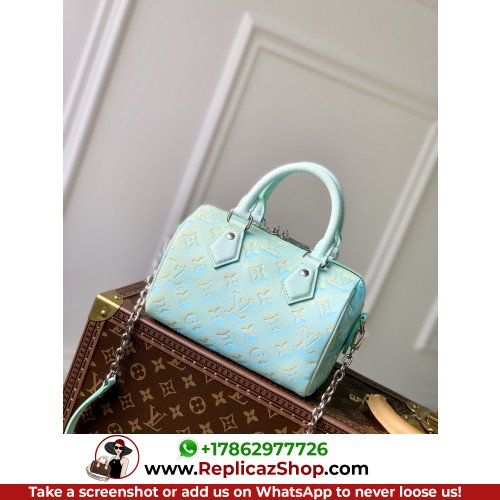 Louis Vuitton Speedy
