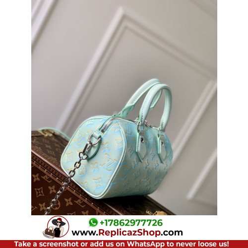 Louis Vuitton Speedy - Image 4