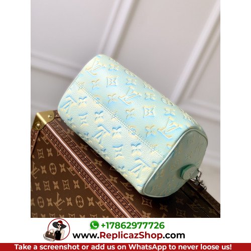 Louis Vuitton Speedy - Image 5