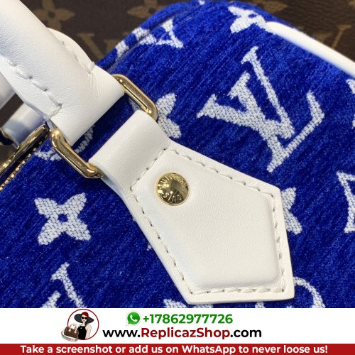 Louis Vuitton Speedy - Image 4