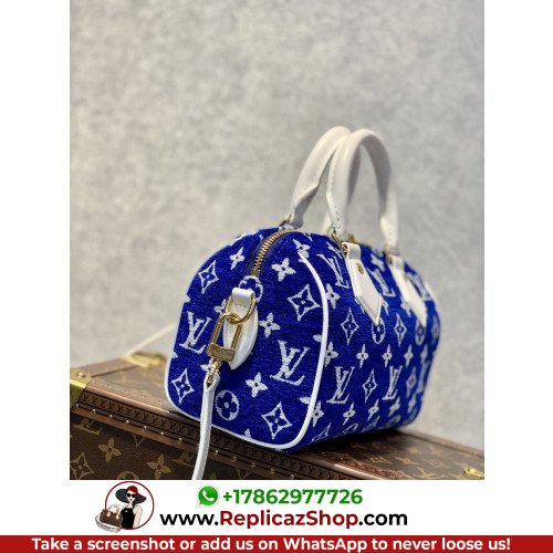 Louis Vuitton Speedy