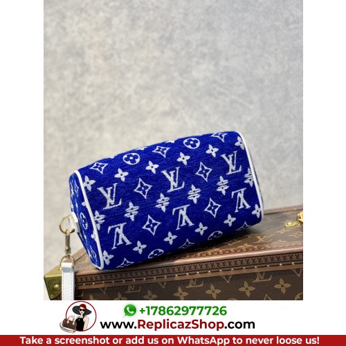 Louis Vuitton Speedy - Image 6