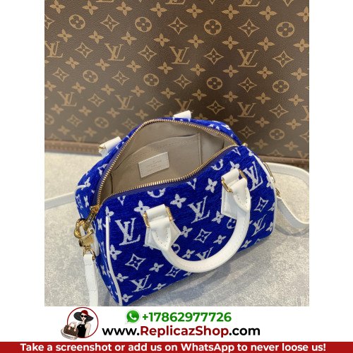 Louis Vuitton Speedy - Image 8