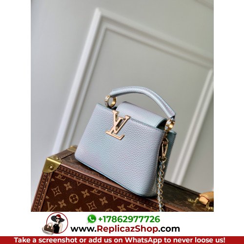 Louis Vuitton Capucines