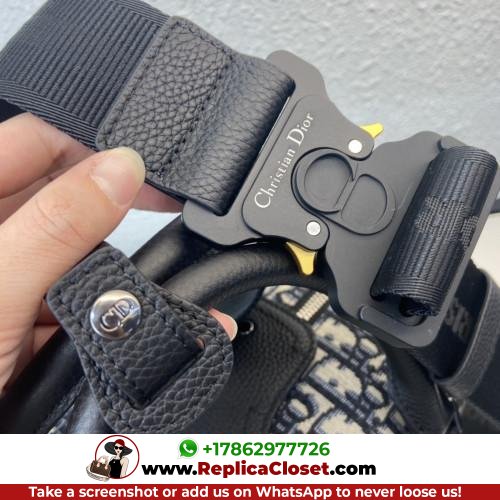 Dior Oblique - Image 2