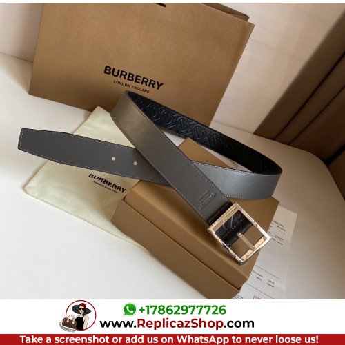 Burberry Belt - Image 2