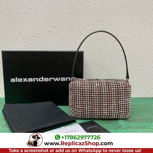 Alexander Wang Bag