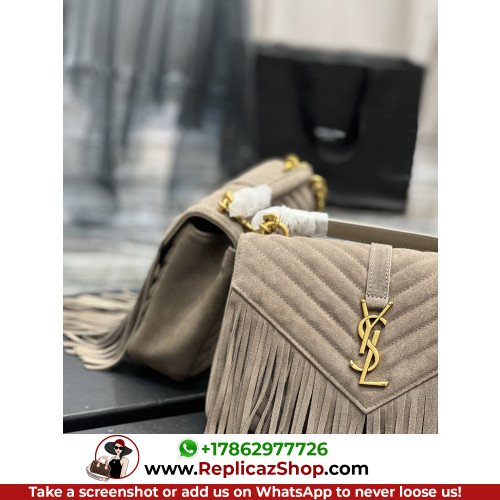 YSL College - Image 4