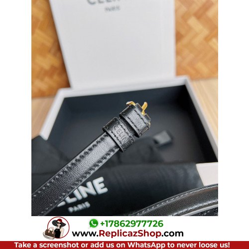 Celine Quilted LambTriomphe Bag-20 X 10 X 4CM - Image 7