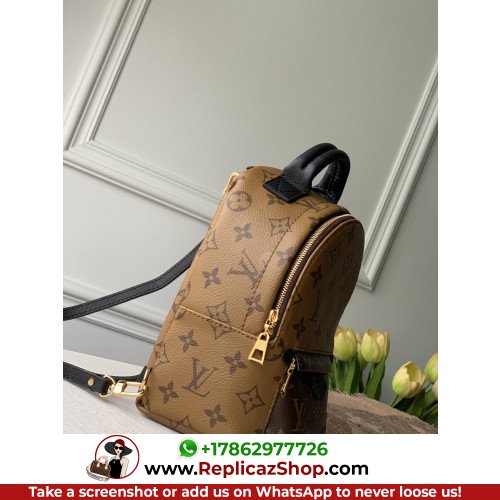 Louis Vuitton Backpack