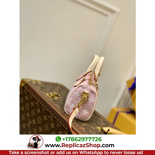 Louis Vuitton Speedy - Image 5