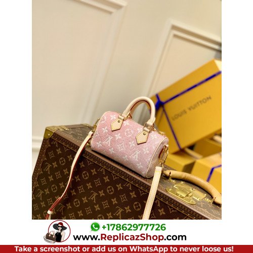 Louis Vuitton Speedy