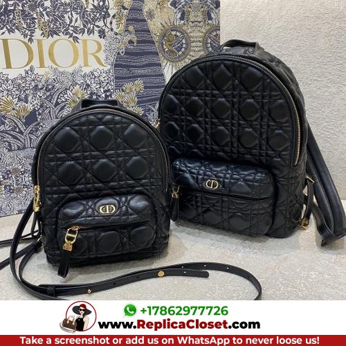 Dior Backpack