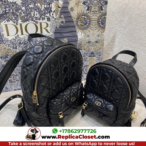 Dior Backpack - Image 12
