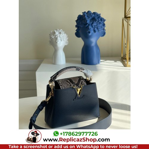 Louis Vuitton Capucines