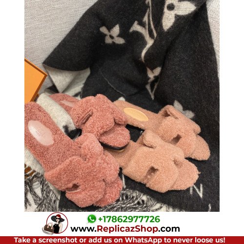 Hermes Slides - Image 4