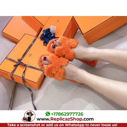 Hermes Slides - Image 9