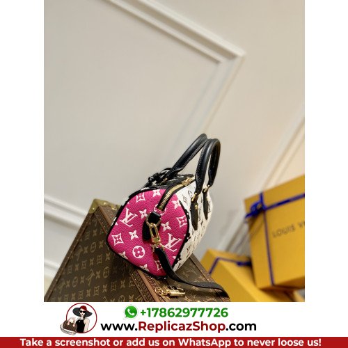 Louis Vuitton Speedy - Image 2