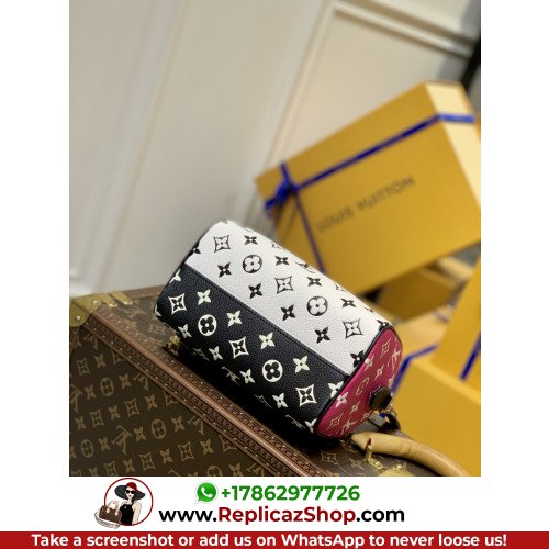 Louis Vuitton Speedy - Image 4