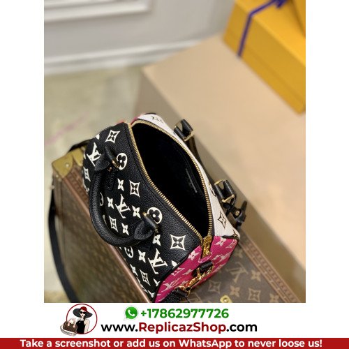 Louis Vuitton Speedy - Image 6