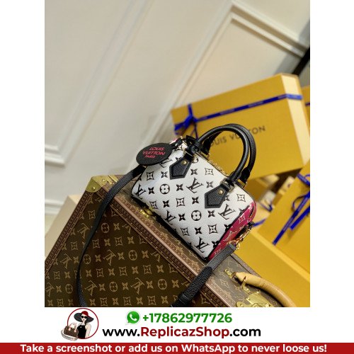 Louis Vuitton Speedy
