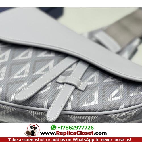 Dior Saddle - Image 3