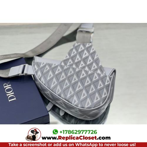 Dior Saddle - Image 4