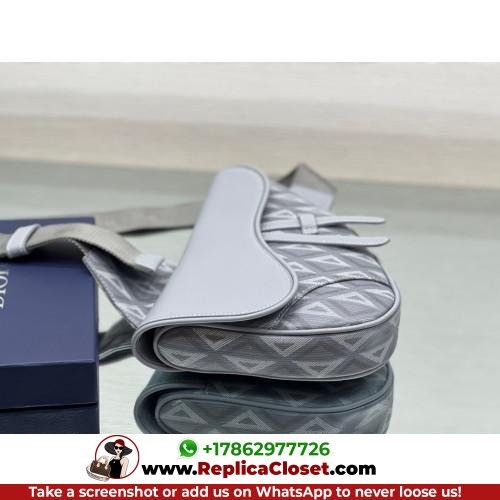 Dior Saddle - Image 5