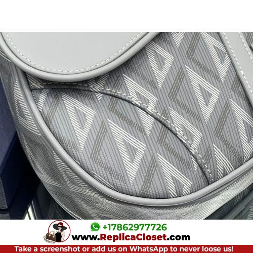 Dior Saddle - Image 6