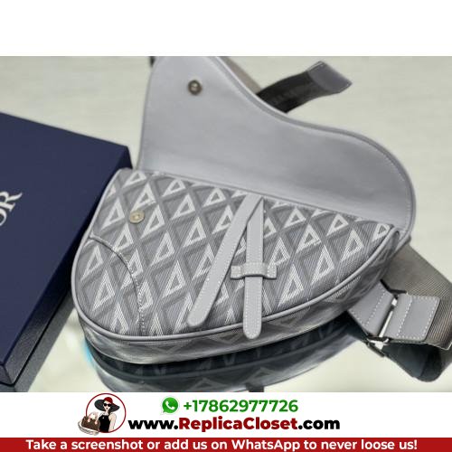 Dior Saddle - Image 8