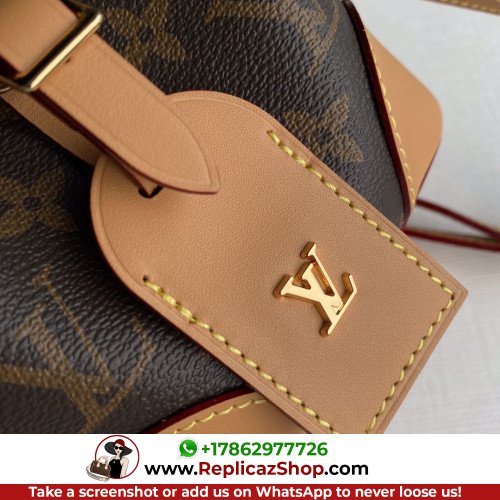 Louis Vuitton Neone - Image 6