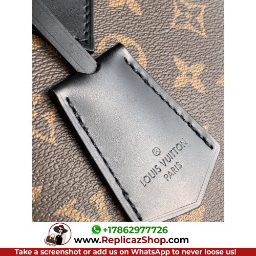 Louis Vuitton Alma - Image 6