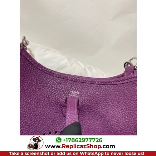 Hermes Evelyne - Image 2