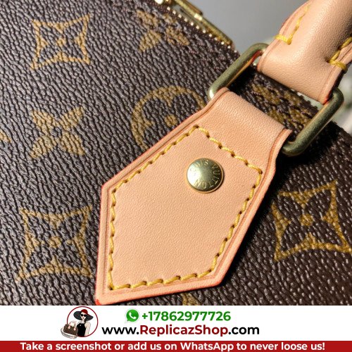 Louis Vuitton Alma - Image 4