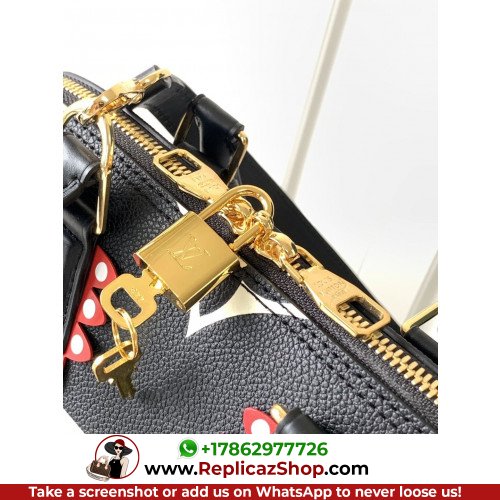 Louis Vuitton Alma - Image 6