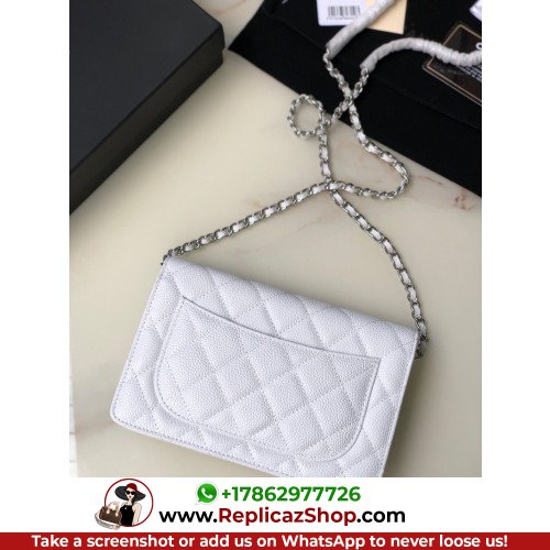 Chanel WOC - Image 5