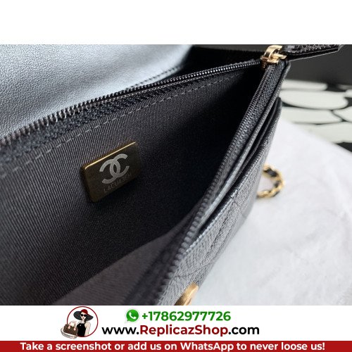 Chanel WOC - Image 9