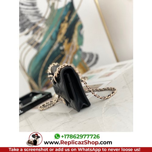 Chanel WOC - Image 4