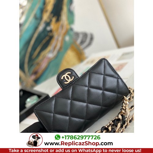 Chanel WOC - Image 7