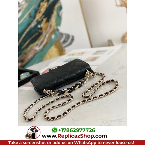 Chanel WOC - Image 9