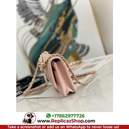 Chanel WOC - Image 2