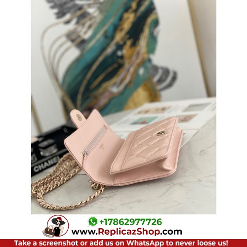 Chanel WOC - Image 3