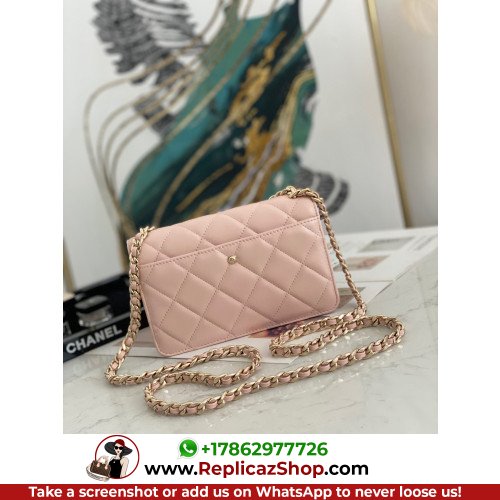 Chanel WOC - Image 5