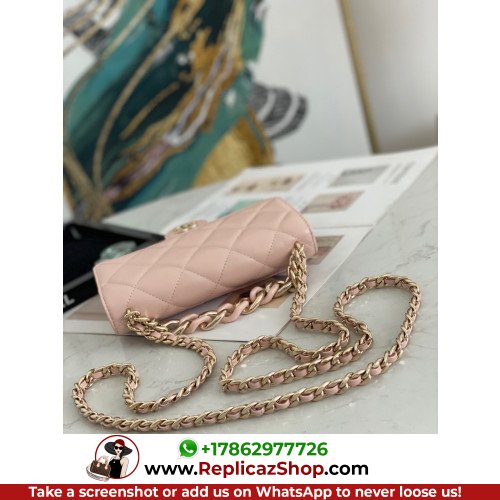 Chanel WOC - Image 6