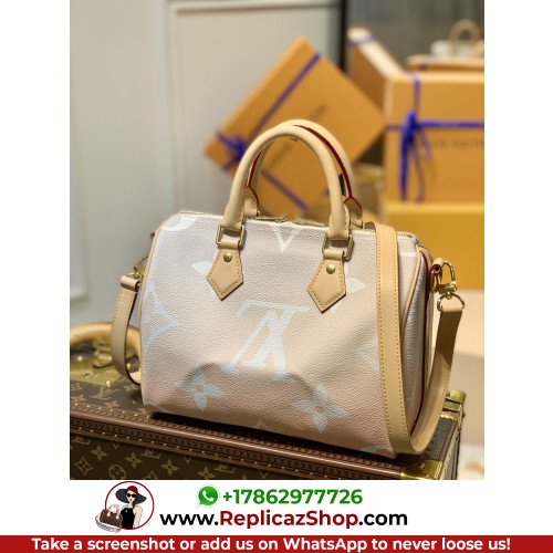 Louis Vuitton Speedy