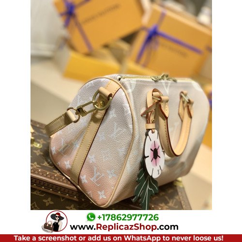 Louis Vuitton Speedy - Image 3