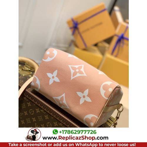 Louis Vuitton Speedy - Image 4