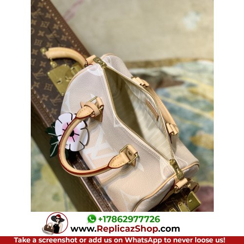 Louis Vuitton Speedy - Image 7