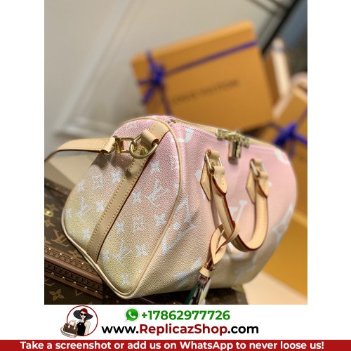 Louis Vuitton Speedy - Image 2